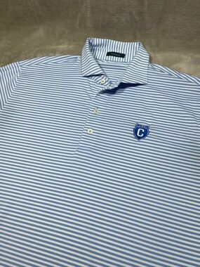 Turtleson Golf Shirt Men Large Blue Stripe Scots Performance Outdoor Casual
